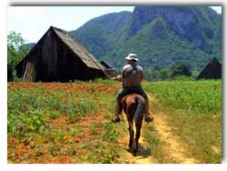 horseback in vinales valley