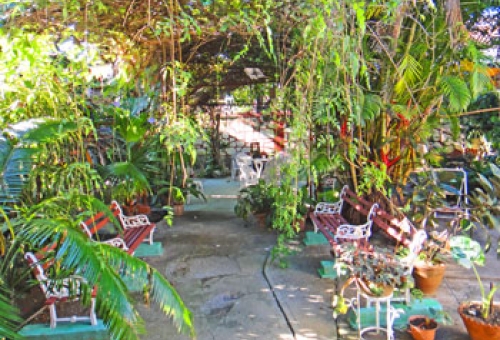 Casa Particular Nelson Santa Clara