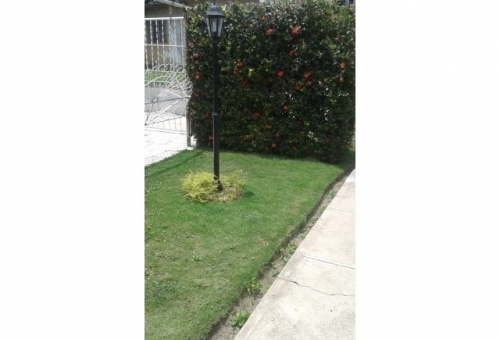 renta casa particular Wiliam