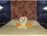 habitacion 2