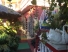 casa lisy