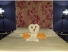 habitacion 5