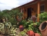 casa lisy