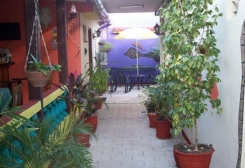Casa Particular La Terraza - Cienfuegos