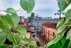 Casa Particular Elisa - Holguín