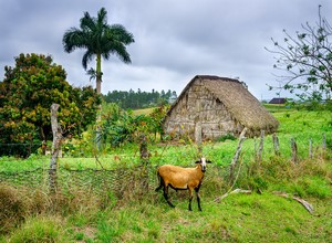 Pinar del Río | Vinales
